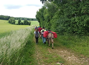 Donkey'Ane - SAINT-GERMAIN-LE-ROCHEUX