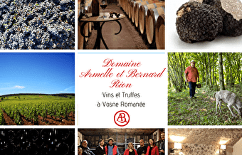 Bernard Rion à Vosne Romanée - VOSNE-ROMANEE